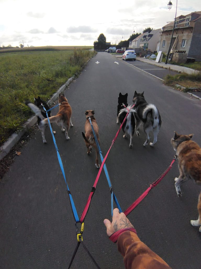 WhatsApp Image 2024-10-12 à 19.28.07_9a9da70a