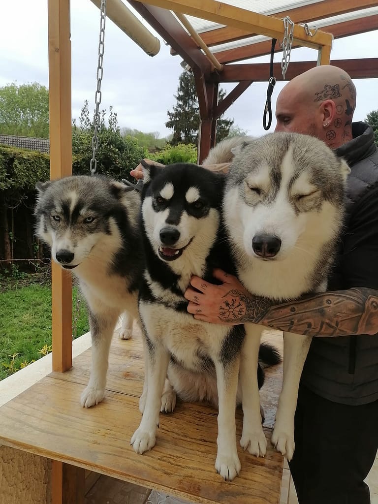 WhatsApp Image 2024-10-12 à 19.32.59_a1309033