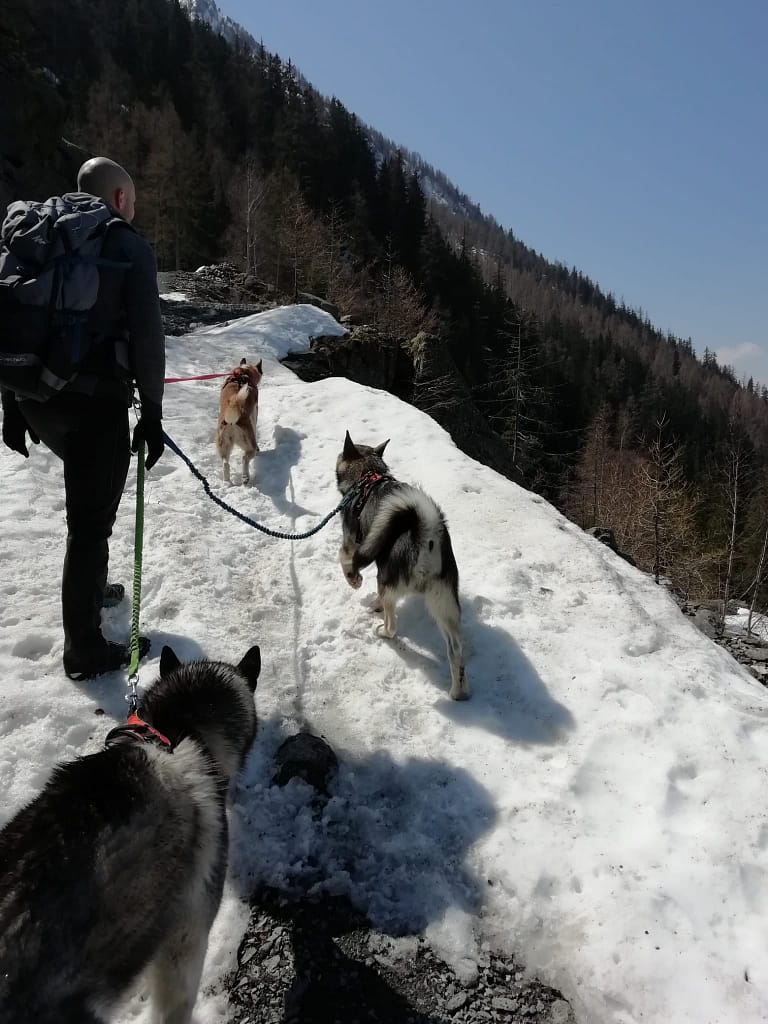 WhatsApp Image 2024-10-12 à 19.50.16_b28ca5cf