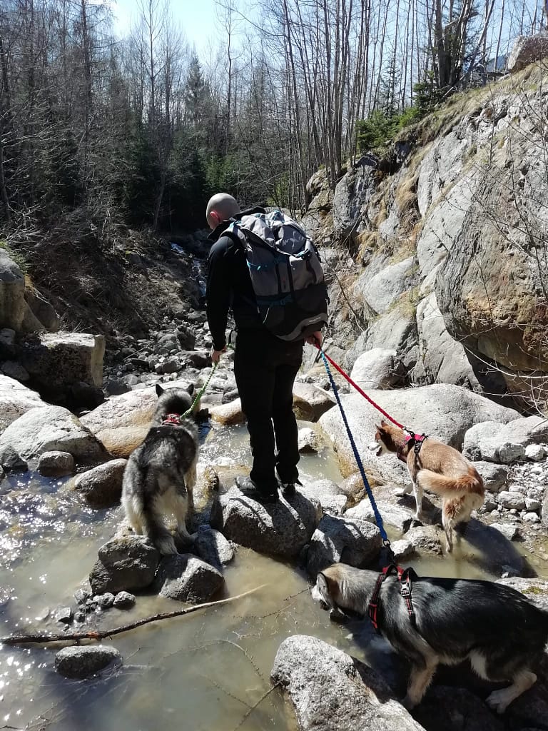 WhatsApp Image 2024-10-12 à 19.50.16_f405634d