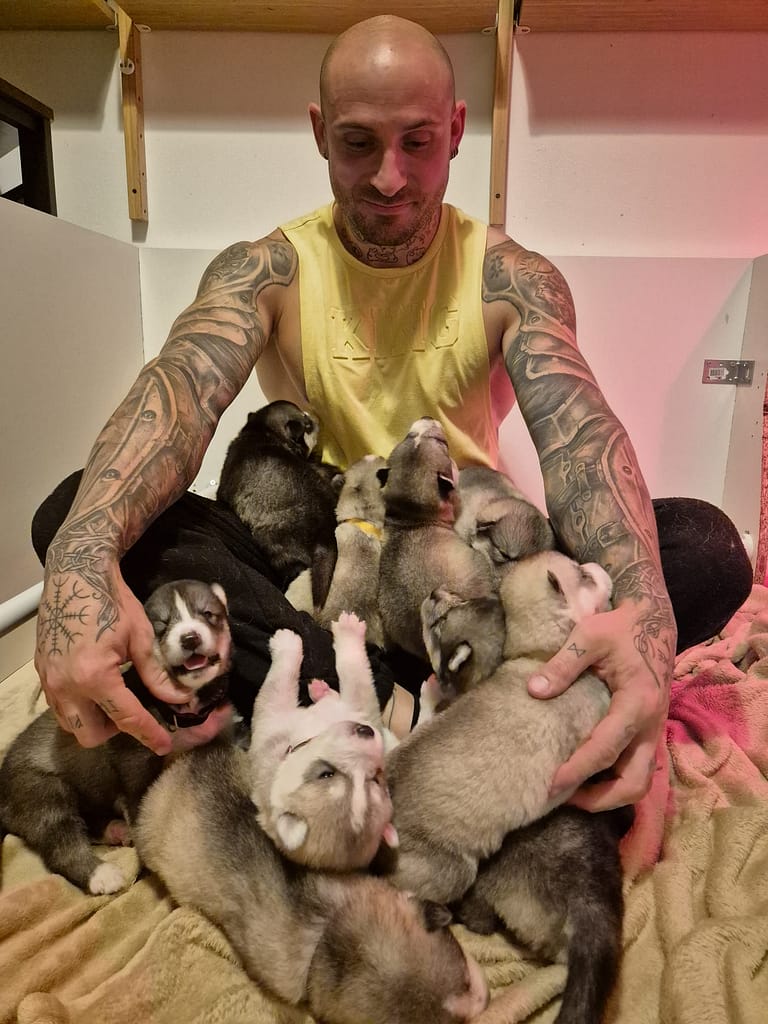 WhatsApp Image 2024-10-12 à 21.48.07_e9de7a61