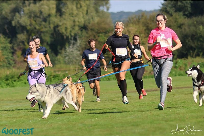 WhatsApp Image 2024-10-10 à 22.01.46_e6b7aa79