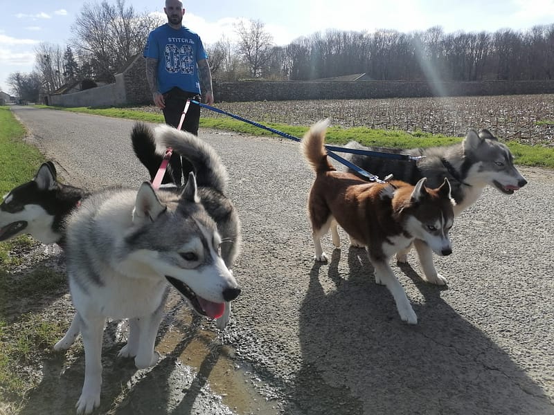 WhatsApp Image 2024-10-12 à 19.33.00_0315e73f